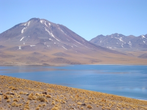 chile-san-pedro